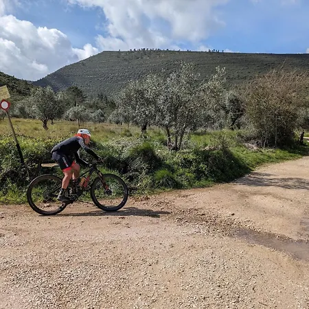 לינה וארוחת בוקר Casa Boho - 4*
