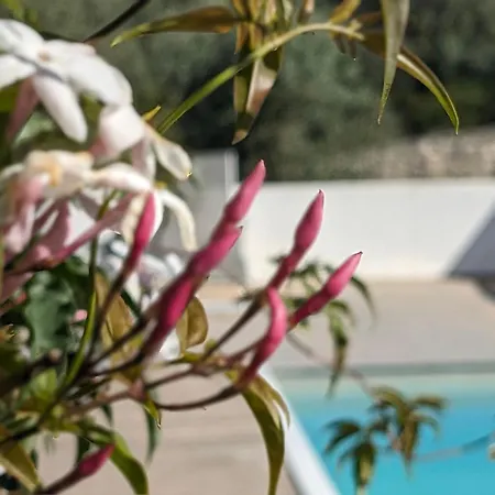 Casa Boho - Bed & Breakfast