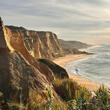 B&B Casa Boho - 알바도스