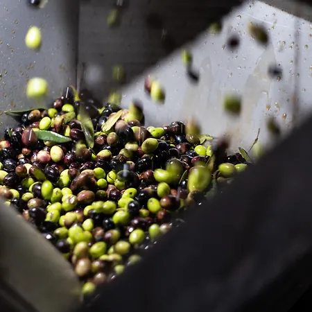 Casa Boho - 4* 阿尔瓦杜什